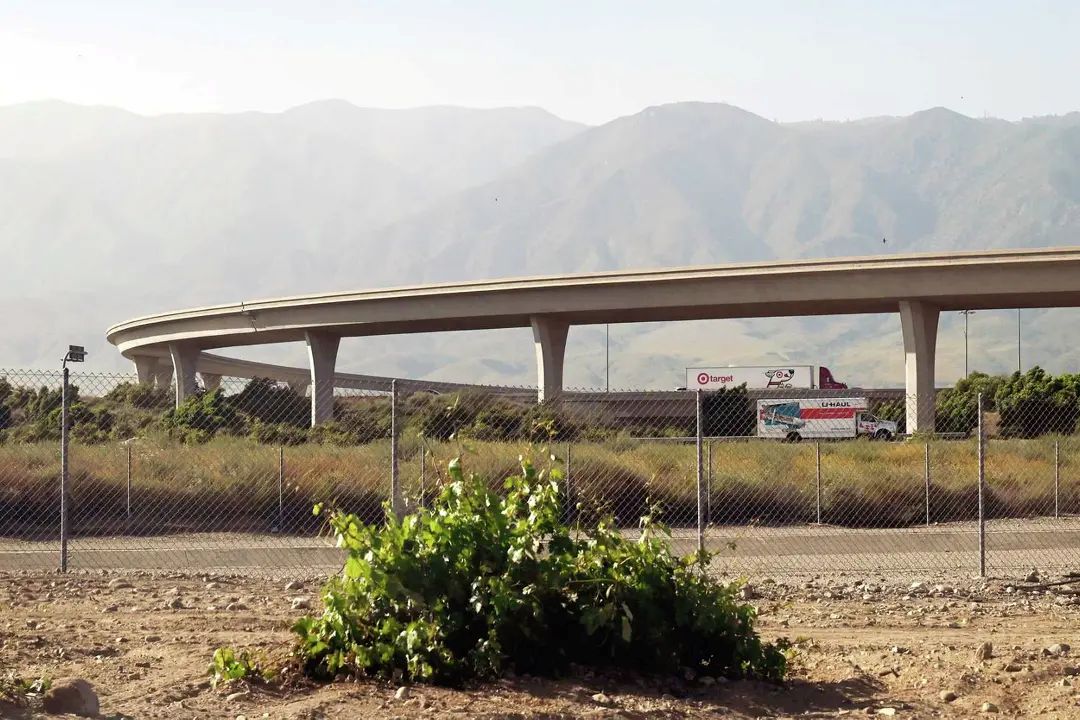 Lopex ranch